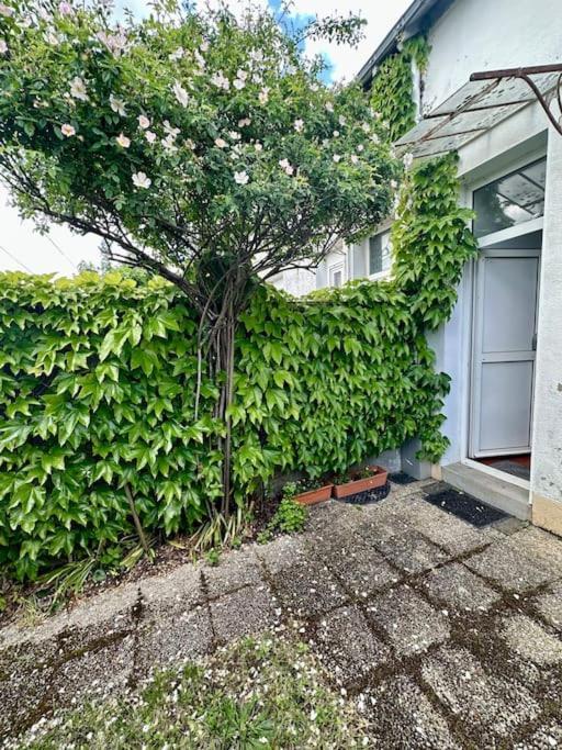 Appartement L'Authentique - Maison Avec Jardin - 4 Personnes à Le Mans Extérieur photo